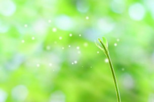 愛を理解するための第一歩。本来の未来が始まります。